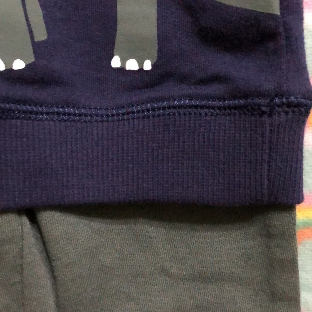 Carter’s 2-pc Dinosaur Pant Set Final Price - Picture 11 of 13